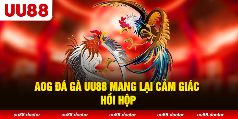 AOG Đá Gà UU88 mang lại cảm giác hồi hộp