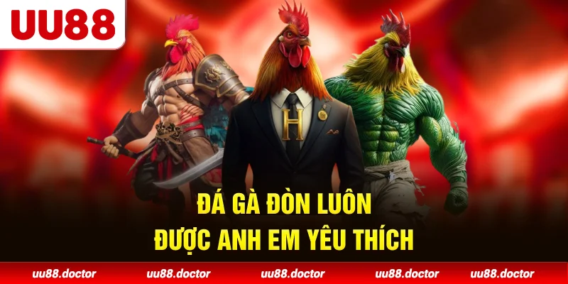 Đá gà đòn luôn được anh em yêu thích