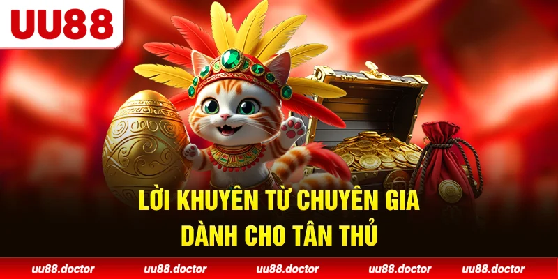 Lời khuyên từ chuyên gia dành cho tân thủ