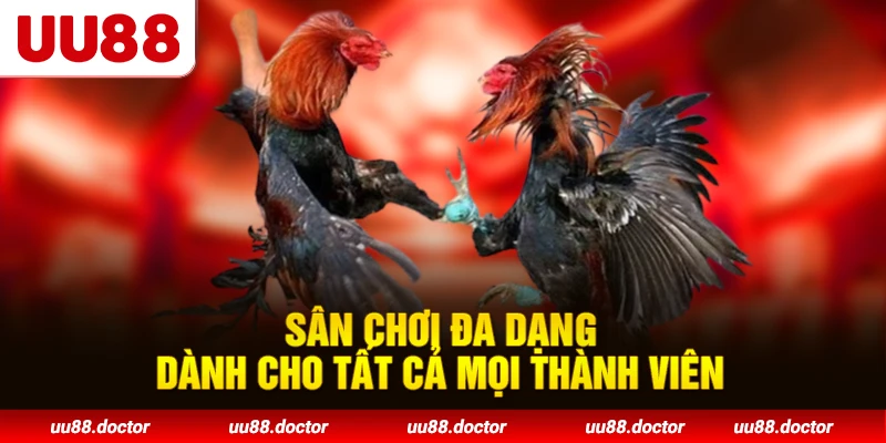 Sân chơi đa dạng dành cho tất cả mọi thành viên